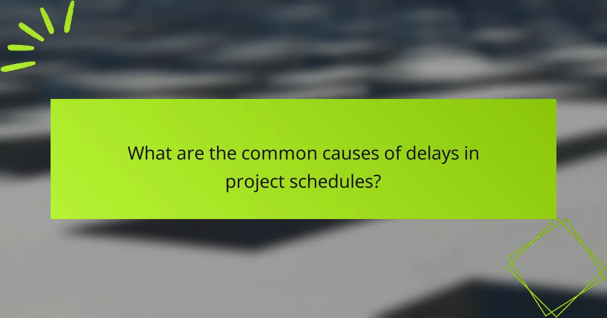 What are the common causes of delays in project schedules?